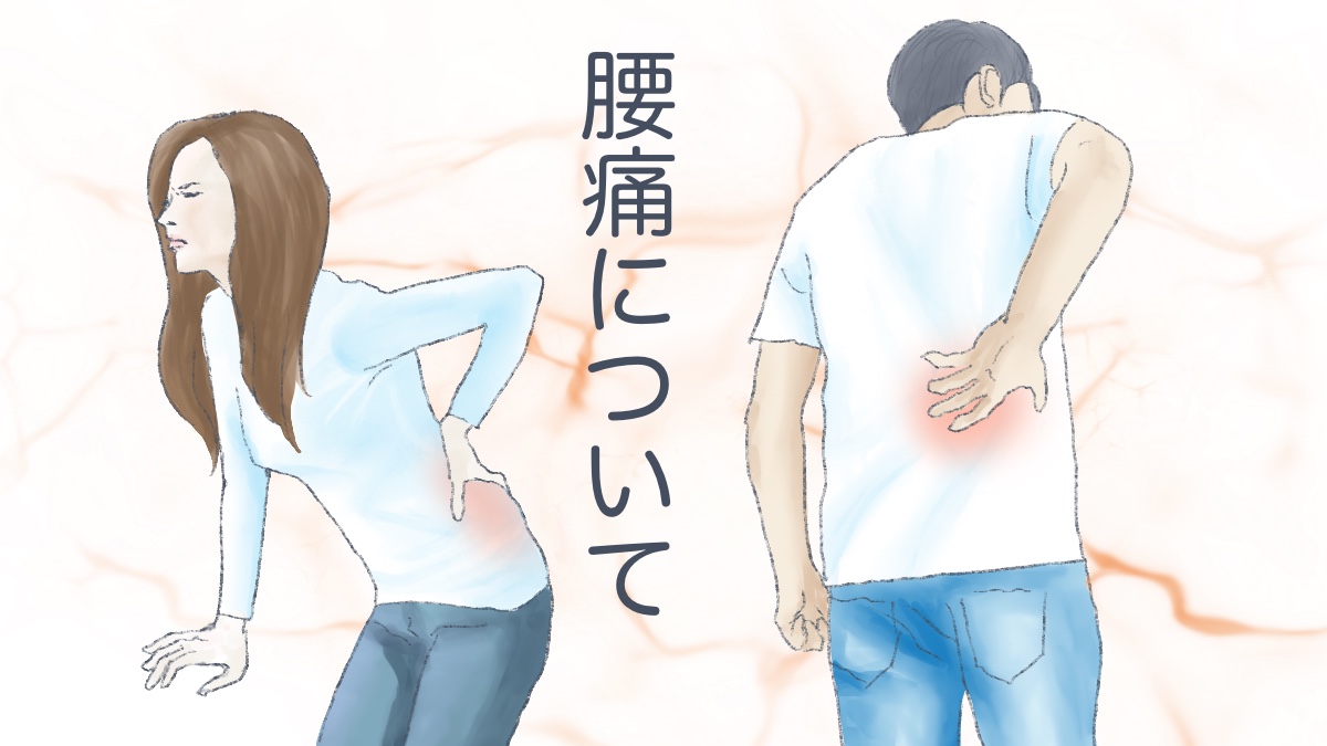 腰痛についてもっと理解しよう
