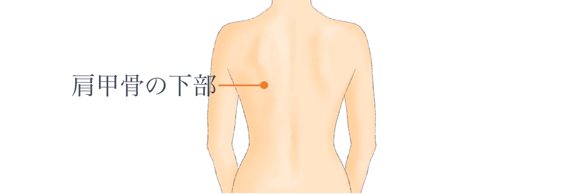 肩甲骨下部の痛み画像