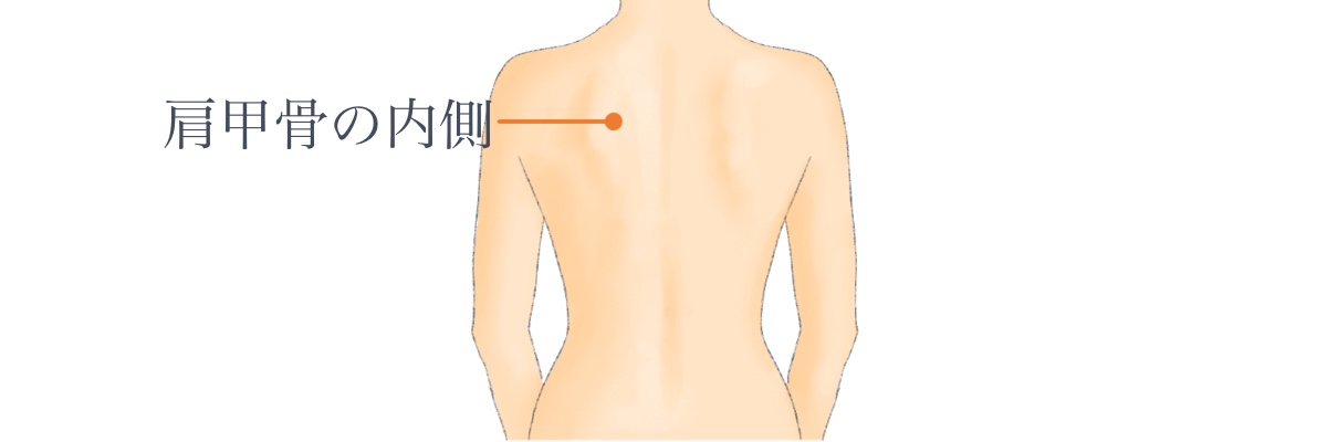 肩甲骨内側の痛みイラスト