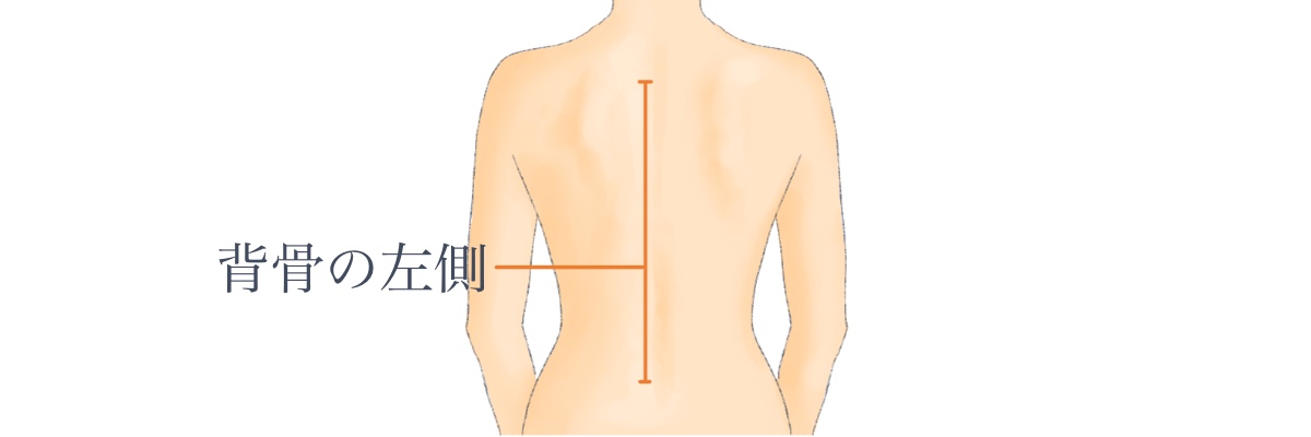 背中の左側の痛みイラスト