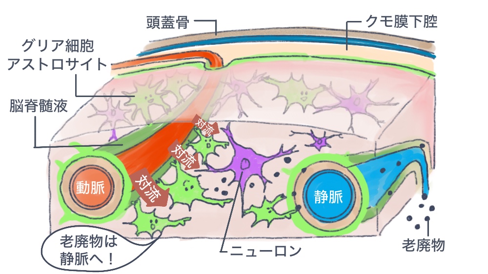 グリンパティックシステム